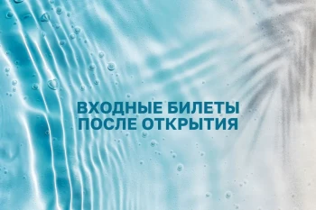 Разовые посещение после открытия